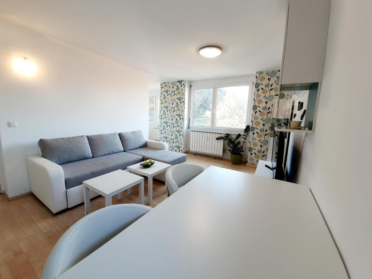 Bossa Nova Castle&Outstanding Home With Garage Lublaň Exteriér fotografie