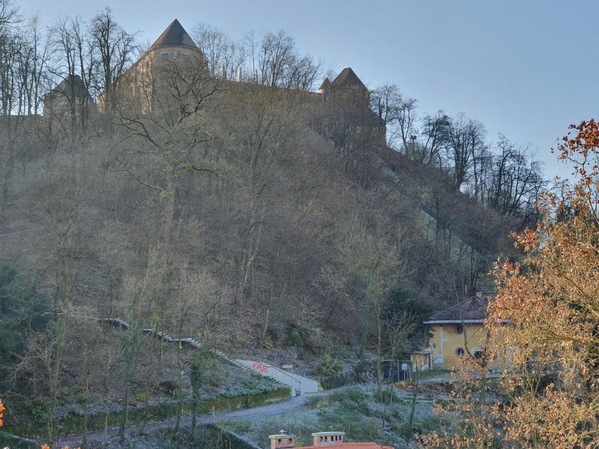 Bossa Nova Castle&Outstanding Home With Garage Lublaň Exteriér fotografie